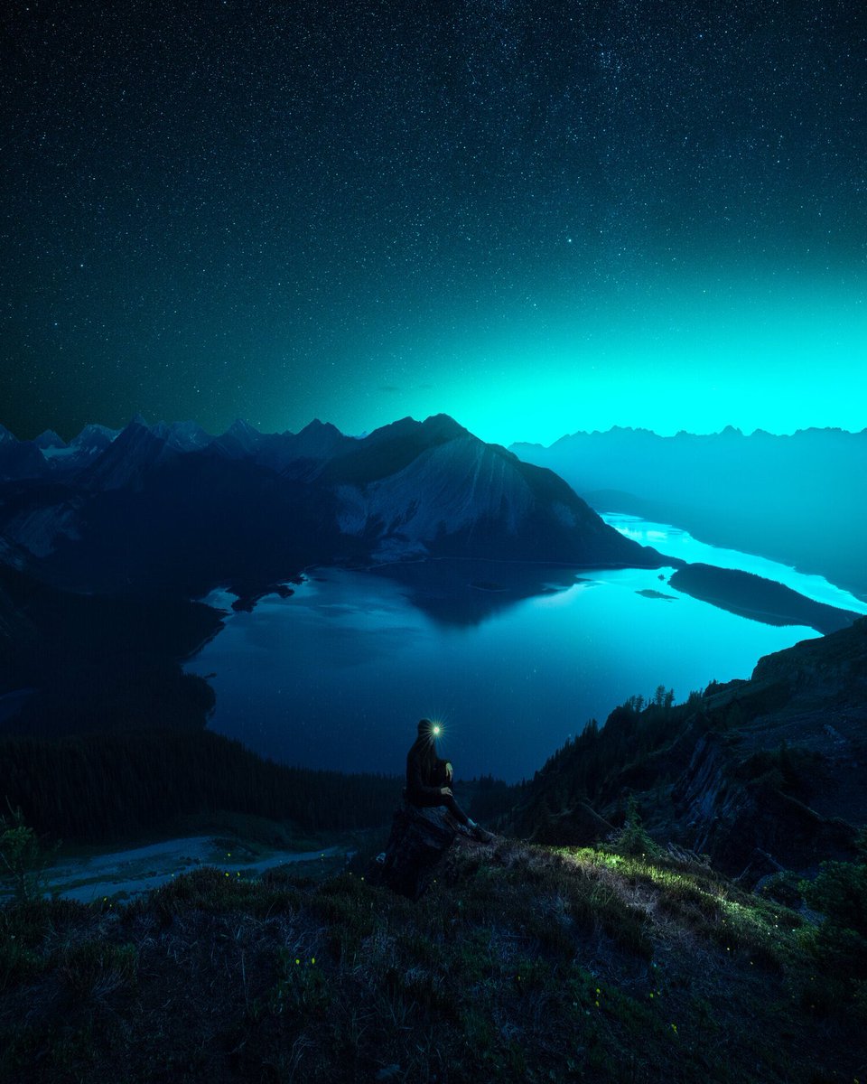cathsimard_'s tweet photo. “Surviving the Dark Triade” https://t.co/0L9rnODjRd