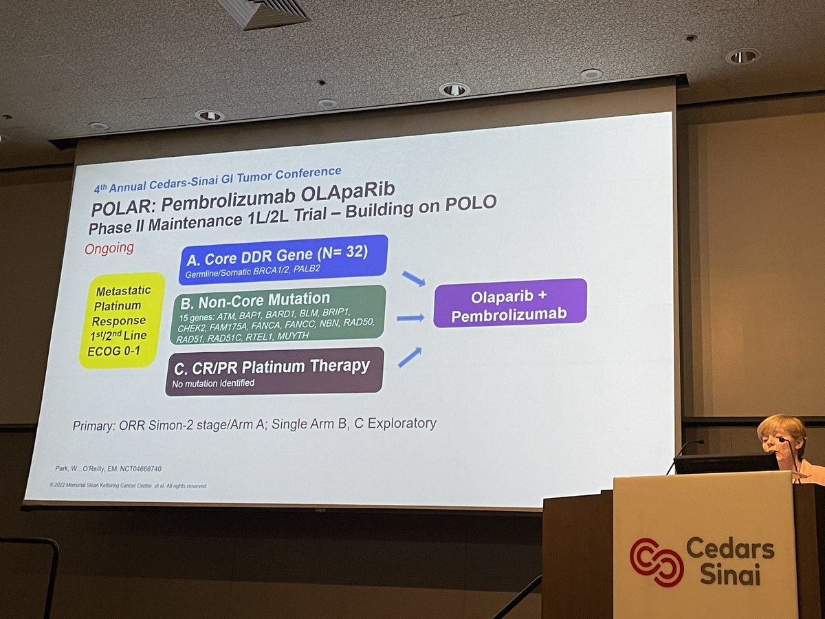 @EileenMOReilly dawn of #KRAS inh’s beyond #G12C, young onset #PDAC w/signal of KRAS WT, #KRAS WT #pancsm exquisitely targetable, & building on #POLO maintenance concept in #DDR #PancreaticCancer 

Now at @CSCancerCenter 4th Annual GI Tumor conf cedars.cloud-cme.com/gicancercme @OncoAlert