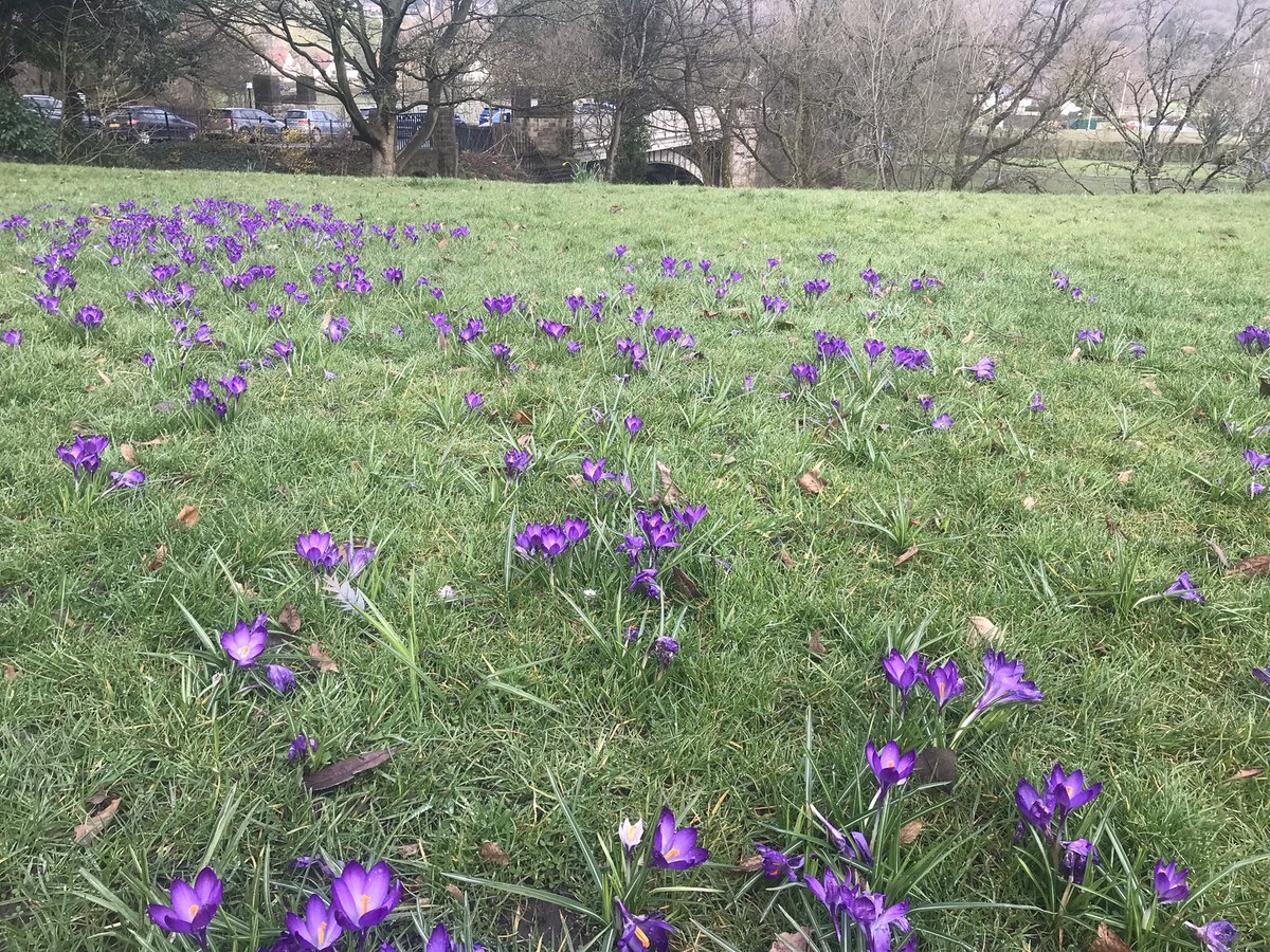 <a href="/Discover_Ilkley/">Discover Ilkley</a> <a href="/Ilkleyu3a/">Ilkley & District u3a</a> <a href="/GreatDaysOutUK/">Great Days Out UK - Popular Family Attractions</a> <a href="/daysoutguide/">Days Out Guide</a> <a href="/DaysOutBlog/">Kids Days Out Reviews</a> @Bewildered_Dad <a href="/lmyorkshire/">little_miss_yorkshire✨</a> <a href="/YorkshireTots/">Yorkshire Tots to Teens | Yorkshire Family Fun</a> A snapshot of Ilkley South Bank this morning