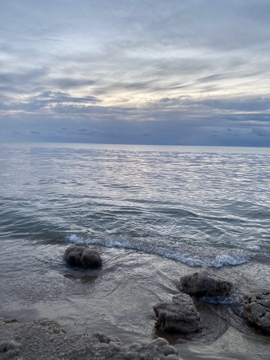 Nicole de B tweet media