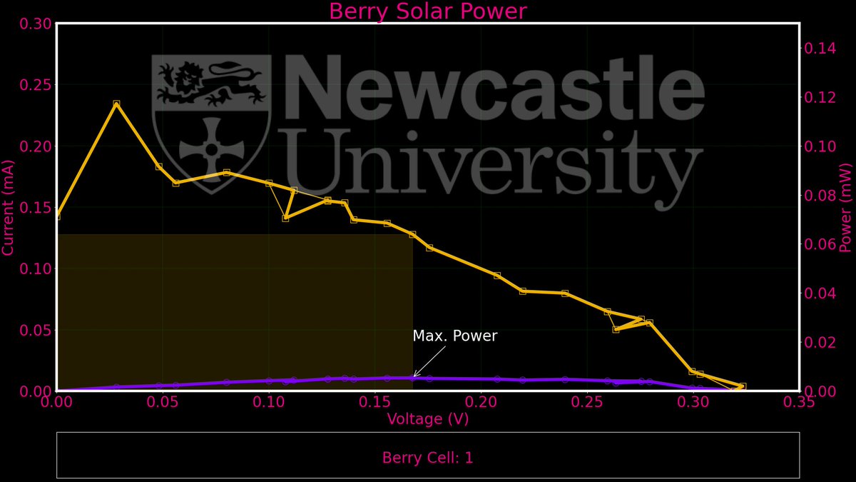 Berry Solar Cells for Berry Future tweet media