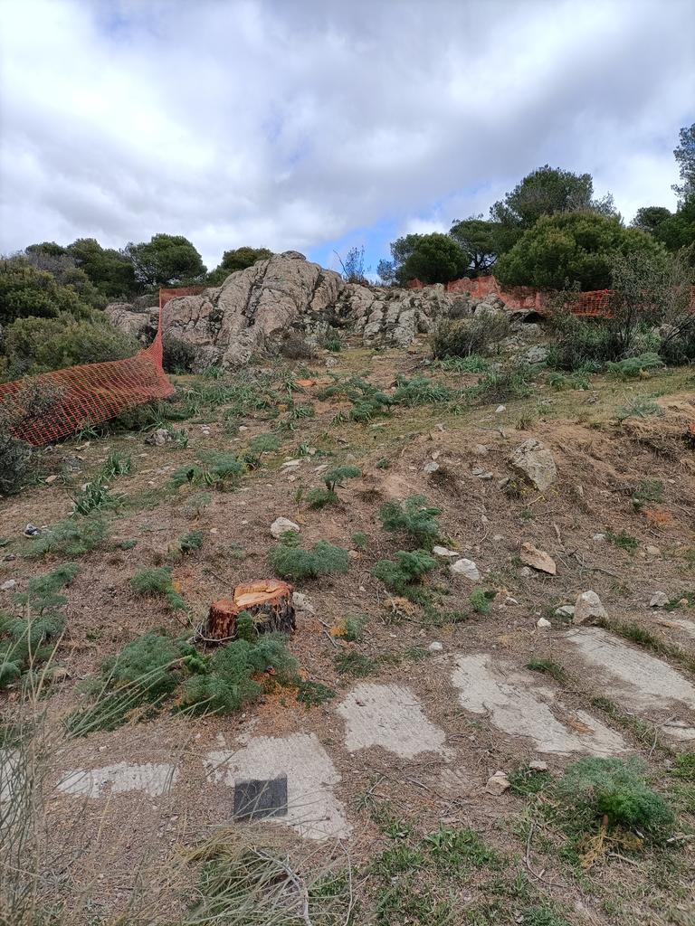 PSOE_Torre's tweet photo. Esta mañana hemos vuelto a recorrer Las Marías con vecinos de la zona. Un fructífero paseo del que hemos extraído muy buenas ideas para salvar este maravilloso entorno natural. https://t.co/u398Rglk8Z