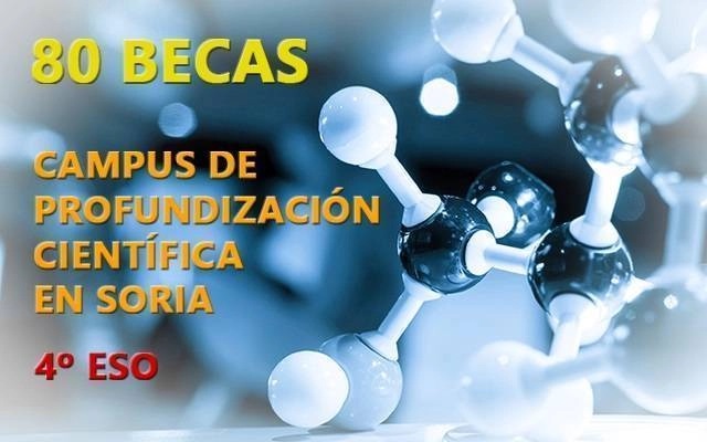 🚨 El Ministerio de #Educación y Formación Profesional #MEFP convoca el Programa #Campus de profundización Científica en #Soria de verano 2023 
✅ #becas y ayudas para alumnos que en el curso 2022/2023 estén cursando cuarto de #ESO 
🔗 campamentos.info/Noticias/becas…
