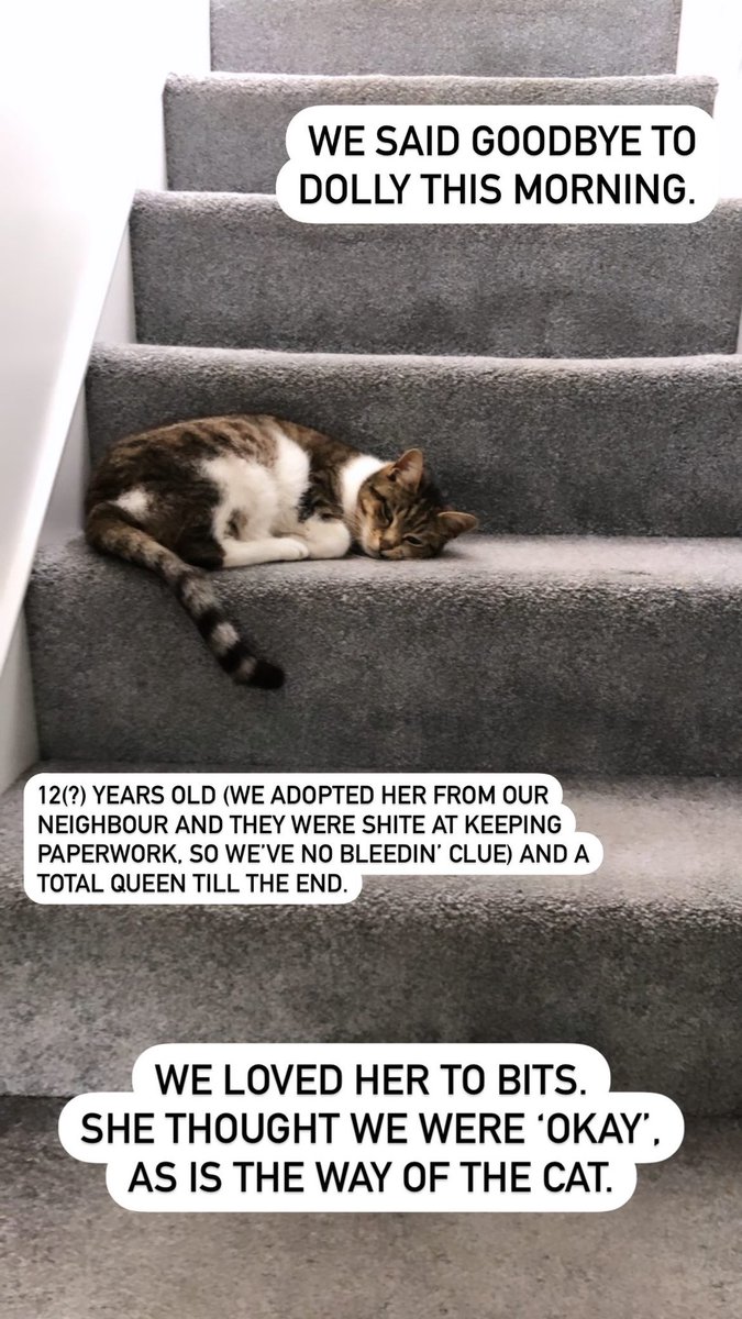 Chris ‘Yonko’ Johnson tweet media