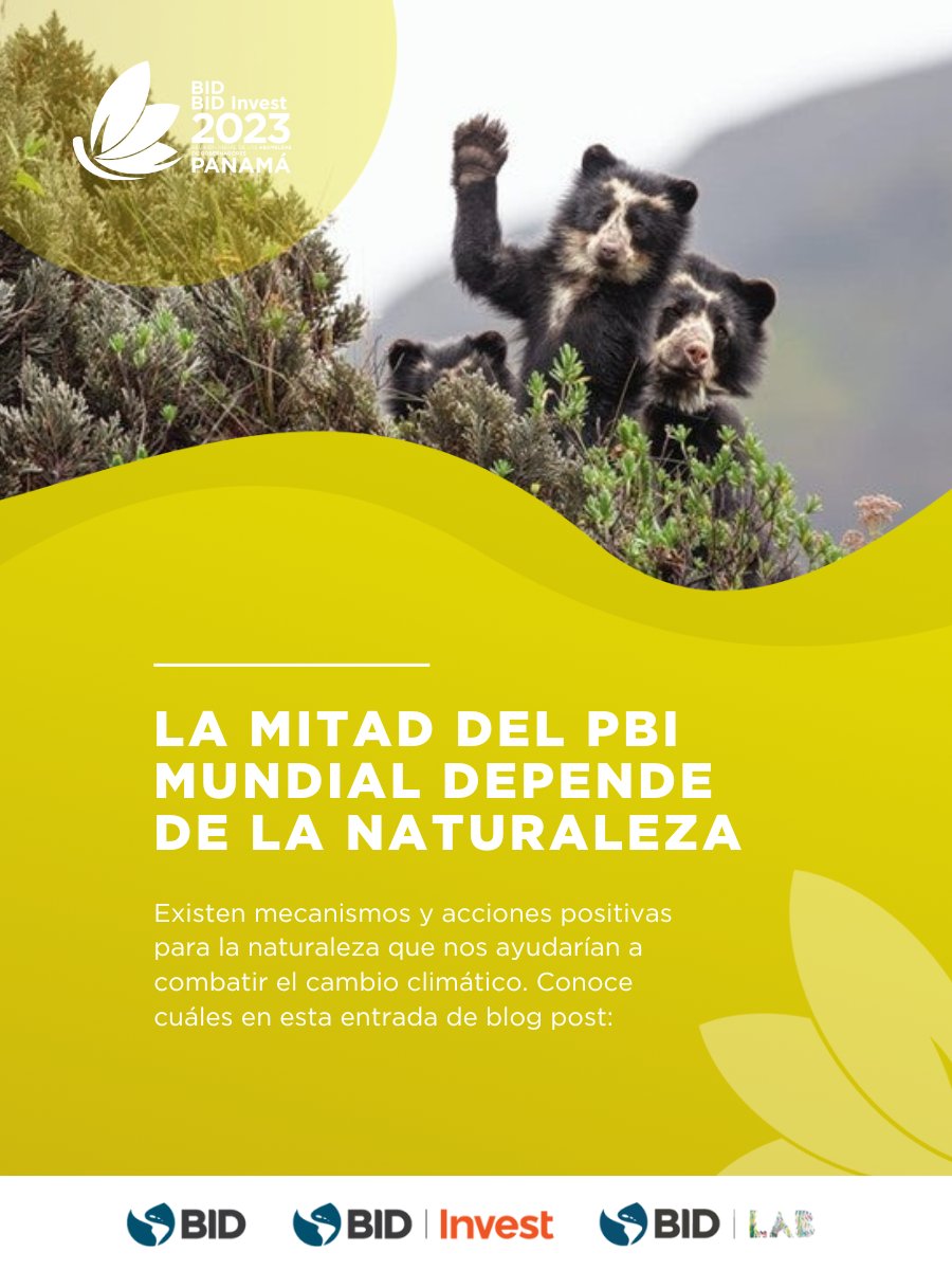 el_BID's tweet photo. ¿Quieres saber más acerca de #Biodiversidad y #CapitalNatural? En la #AsambleaAnualBID conversamos sobre cómo la naturaleza es fuente de prosperidad para nuestro región. Más info aquí:   https://t.co/7pWIKmtpcI https://t.co/A516MuSsTj