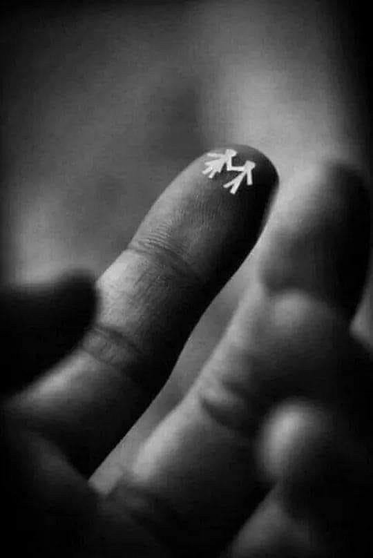 . . . a volte basta poco
per volare lontano .

      moreno