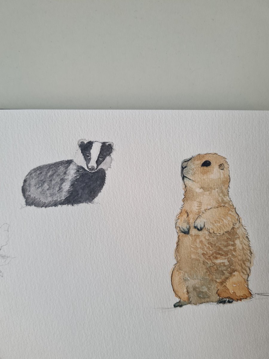 in my forest creature arc