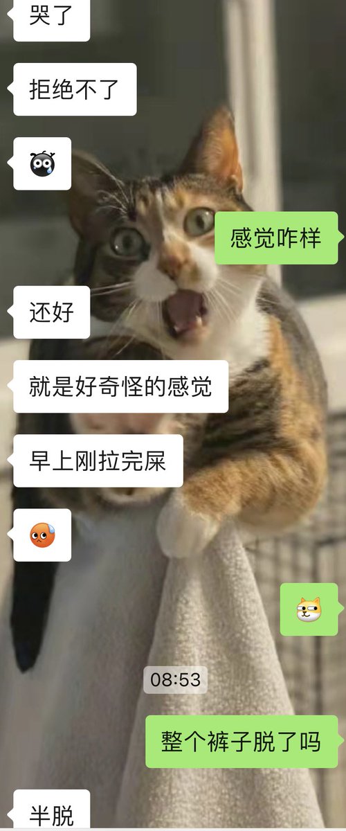 猹 tweet media