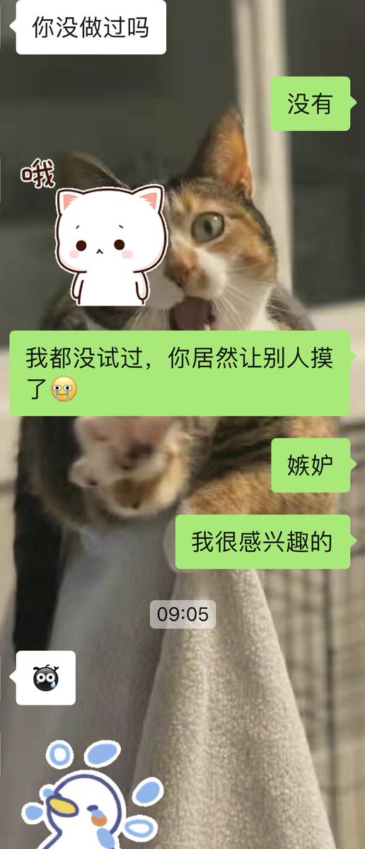 猹 tweet media