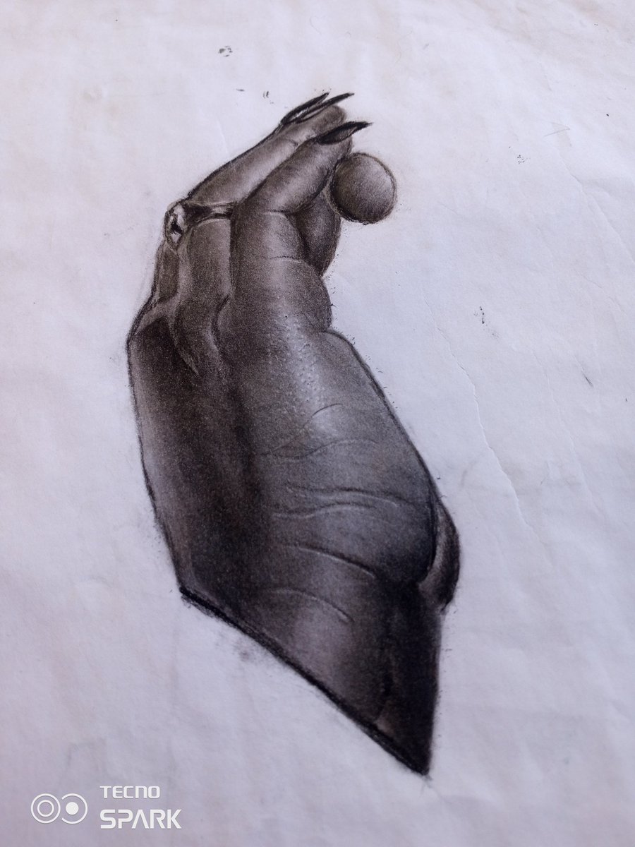 Donkingsly01's tweet photo. Hello twitter !!
I never drop my pencil yet
Just busy lately

#seyimakinde #dogs #lockhim_up #bolu #นิกกี้ก้อย #NO_LP #Pencildrawing https://t.co/1thl446Q1E