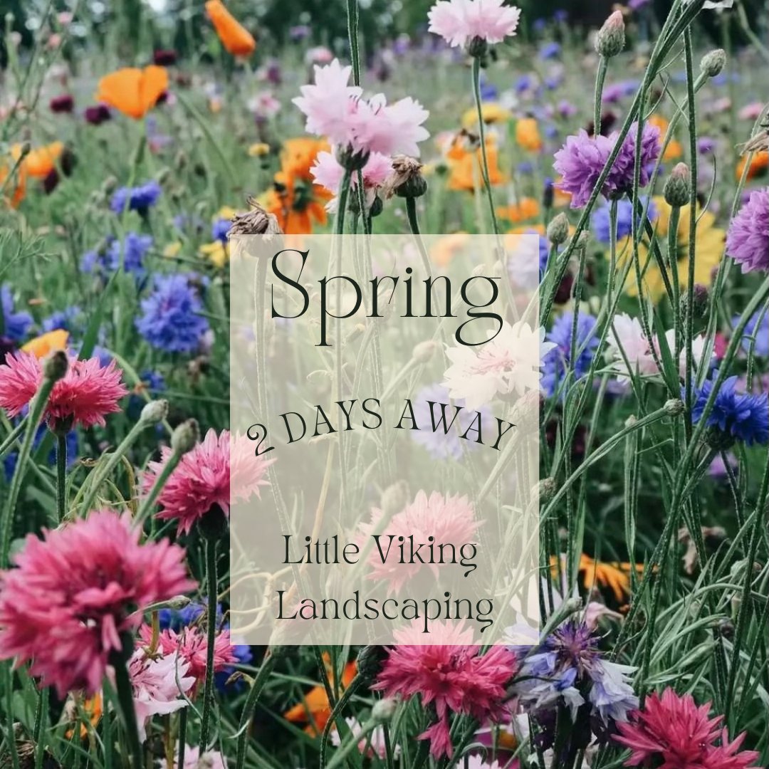 Spring is a meager 2 days away! 🤩

🌧☂️🐛🦋🐝🌷🌼🌱🐦

#Spring2023 #SpringCountdown #SpringIsComing  #springiscomingsoon #littlevikinglandscaping #NovaScotia  #March2023