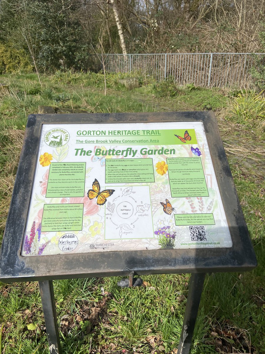 CllrJulieReid's tweet photo. @MCCGortonAHey @DebdaleNature @FriendsDebdale Fantastic volunteers working on tidying up and planting up the Butterfly Garden. https://t.co/usbswtJGfP