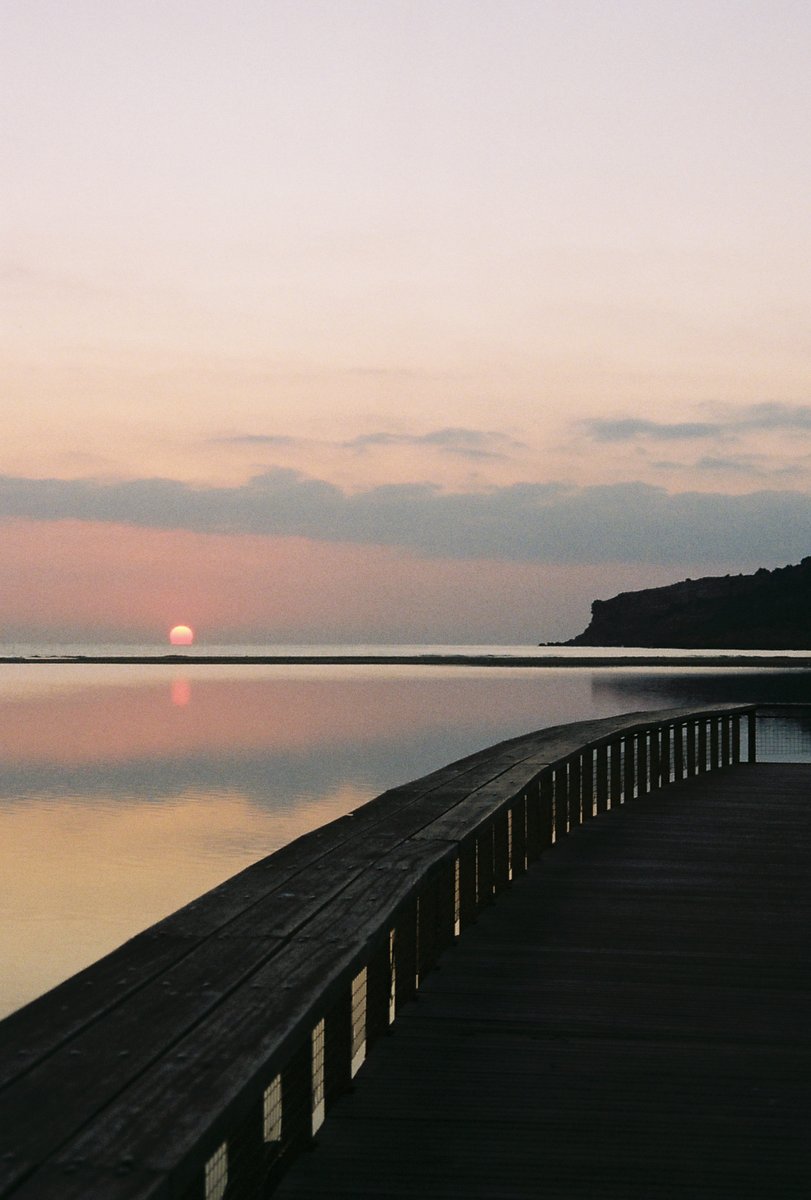 98flights's tweet photo. 18 // coucher de soleil
le sud <3
 #31themesAnalogChallenge https://t.co/jLKtH7x8FU