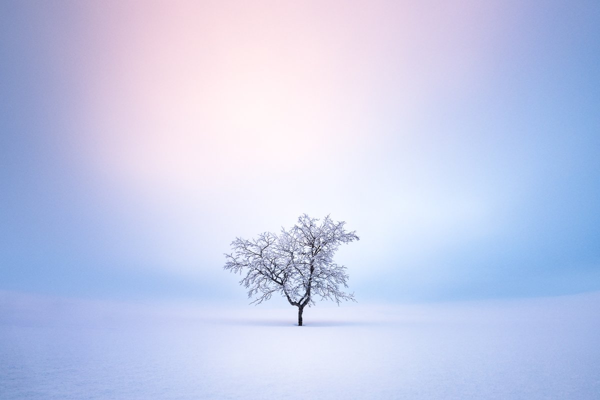 MikkoLagerstedt's tweet photo. Light in the north https://t.co/3DGRRRXrVM