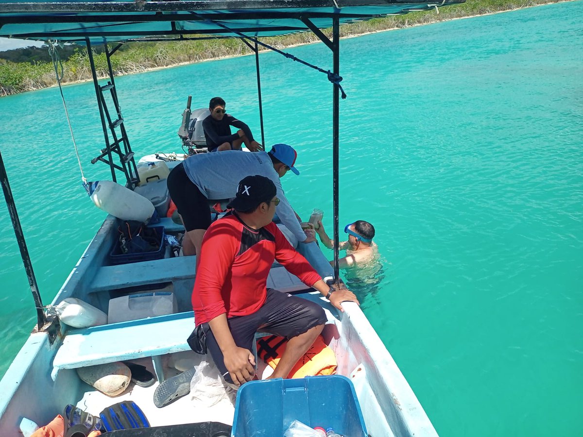 AlfMontalvo's tweet photo. Campaña de muestreo 2023
en laguna Bacalar.
#Sampling campaign in Bacalar lagoon
#Microbialites https://t.co/DyQfx86RLZ