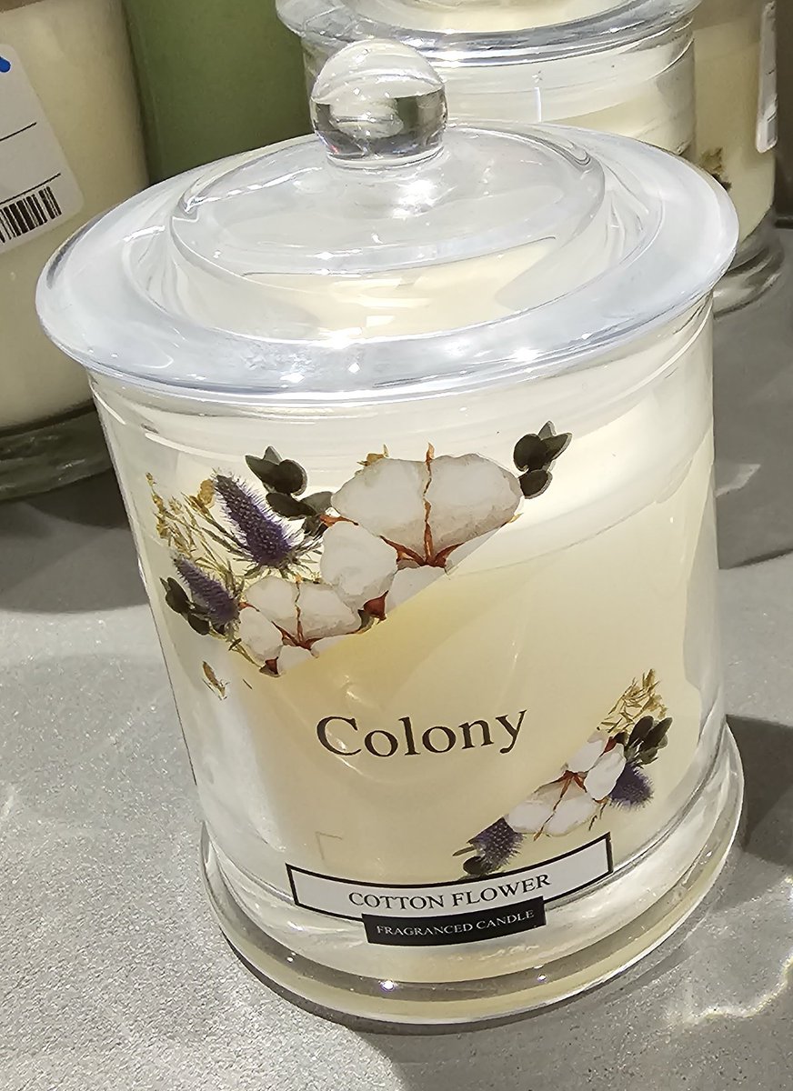 The candle is very pretty but it smells a bit...
🍑💩🕯️

#colon #colony #yumyum