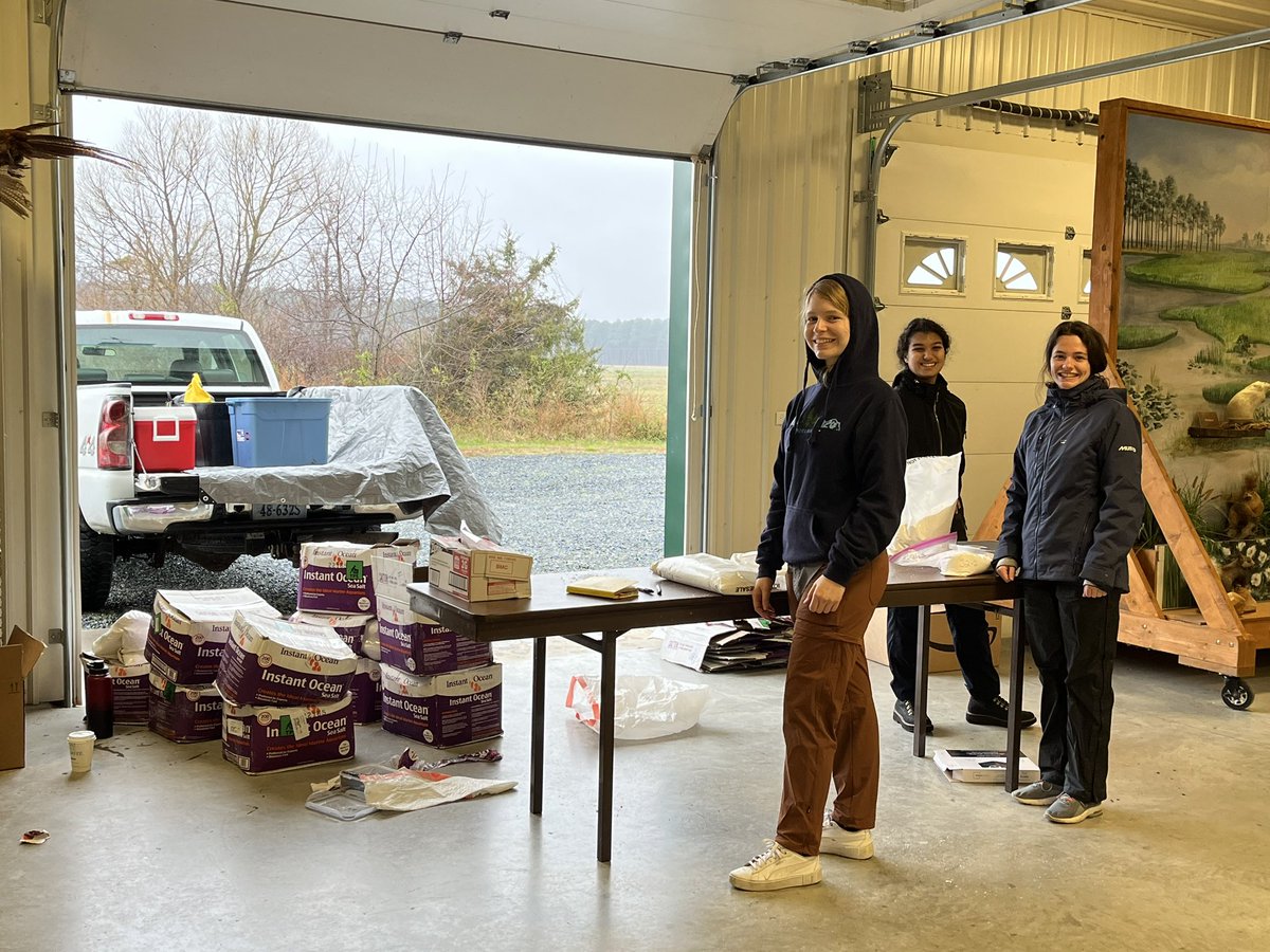 Salty_Serina's tweet photo. Can salt help manage #phragmites invasion into coastal forests?
In partnership with @USFWS, we applied 960lbs of salt to experimental plots to find out!
#saltyscience #BlackwaterNationalWildlifeRefuge https://t.co/DzPzHi69D0