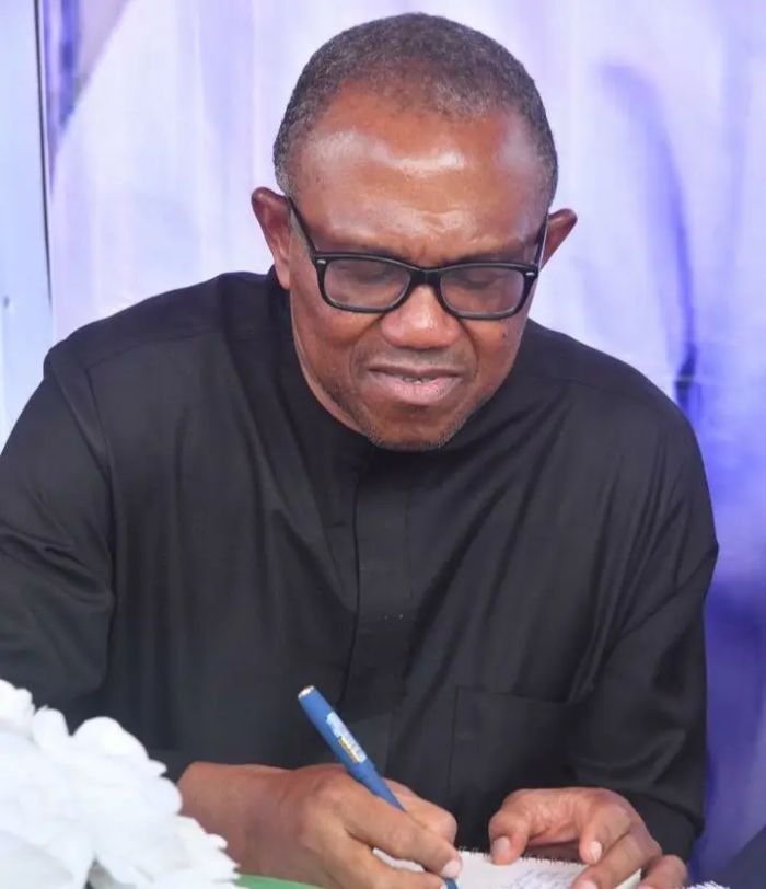 abati1990's tweet image. Presidential Election: Peter Obi writes letter to Nigerians 
reubenabati.com.ng/news/president…