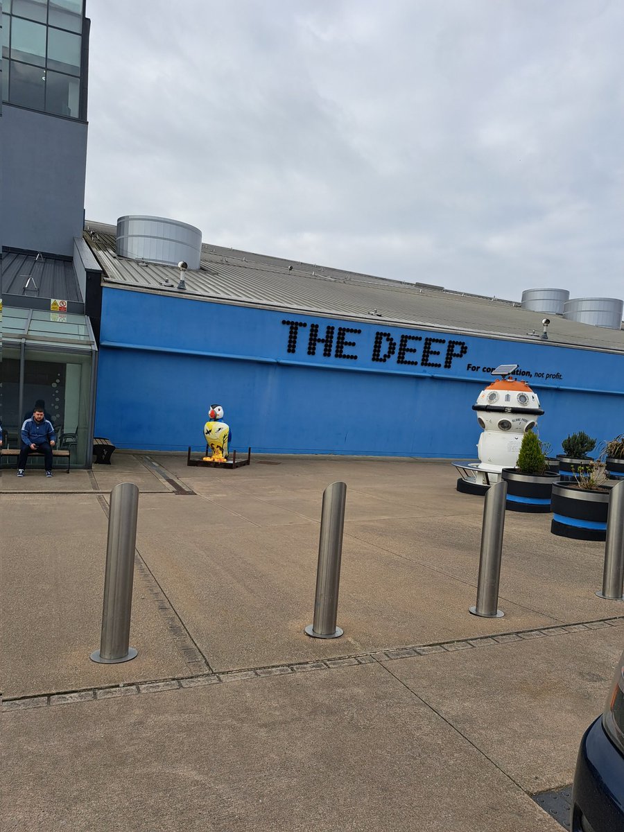 swanhexagon's tweet photo. here we are here we is #fishposting #fish 🐟🦭🐬🐠🐡🦈🐙🦀🦞🪸🪼🐚🦑 https://t.co/9uMuiFxh77