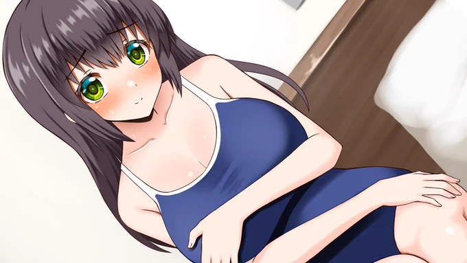 制服、体操服、スク水、メイド 
