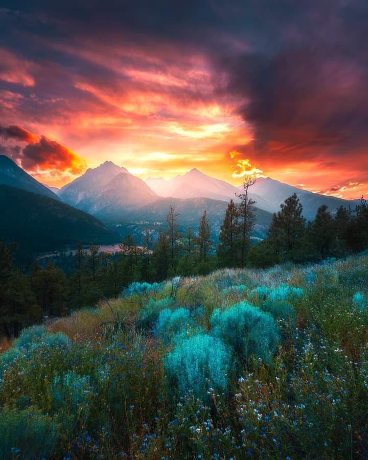 📍British Columbia, Canada
📸by @calibreus [IG] 🌅✨