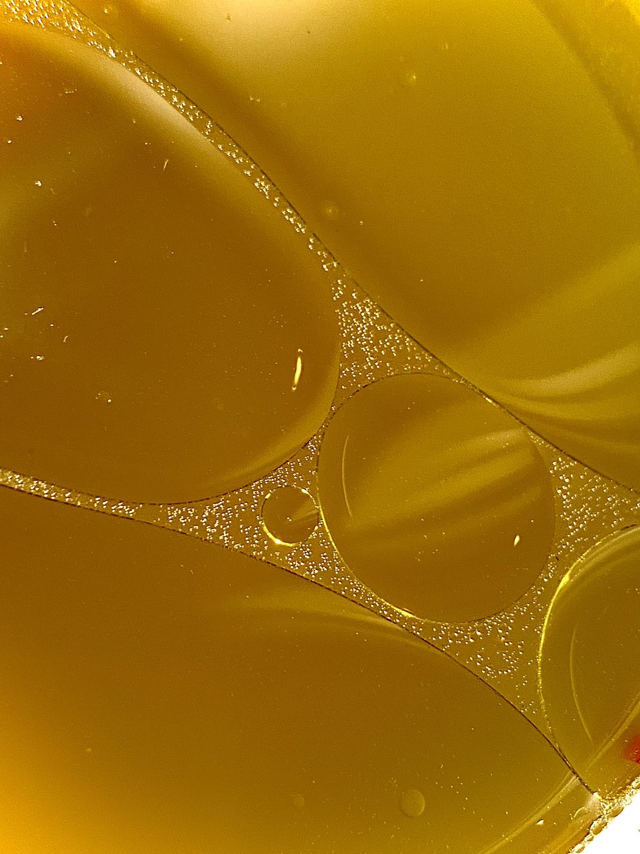 Not me finding beauty in olive oil and bone broth 🪄✨