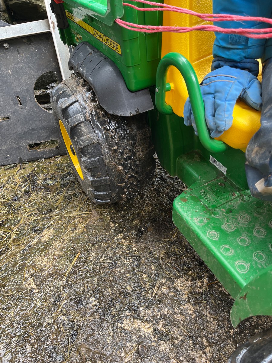 Nick Buckley tweet media