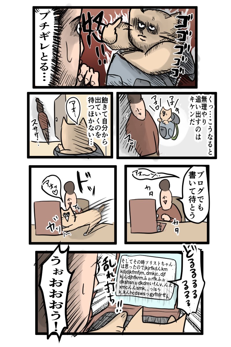 ⛺️キャンプの準備してるといつも"奴"が来る

猫って…なんなの? 
