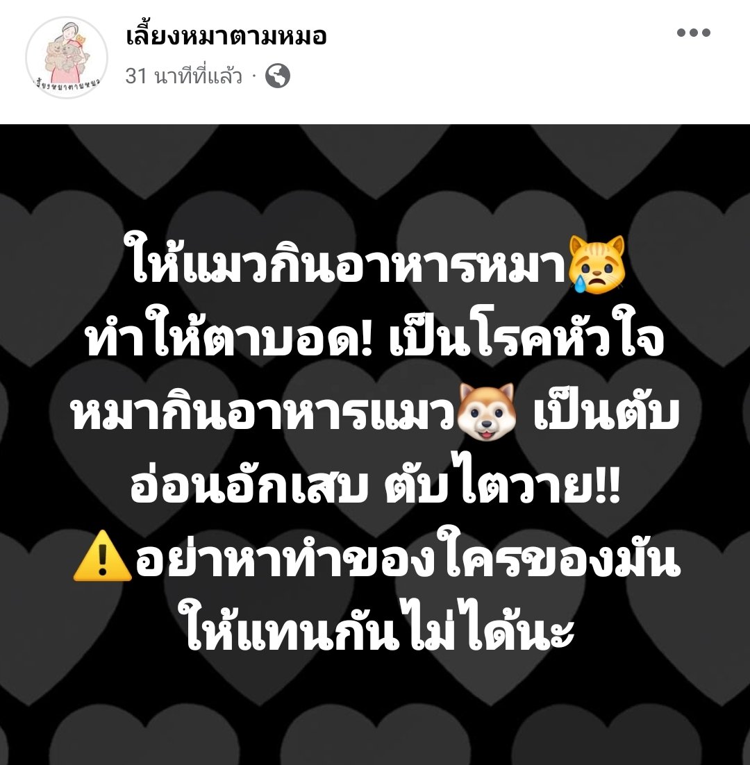 nicha_nicha_an's tweet photo. ขออนุญาตแชร์นะคะ
cr: เลี้ยงหมาตามหมอ https://t.co/CHcr9pjvJ1