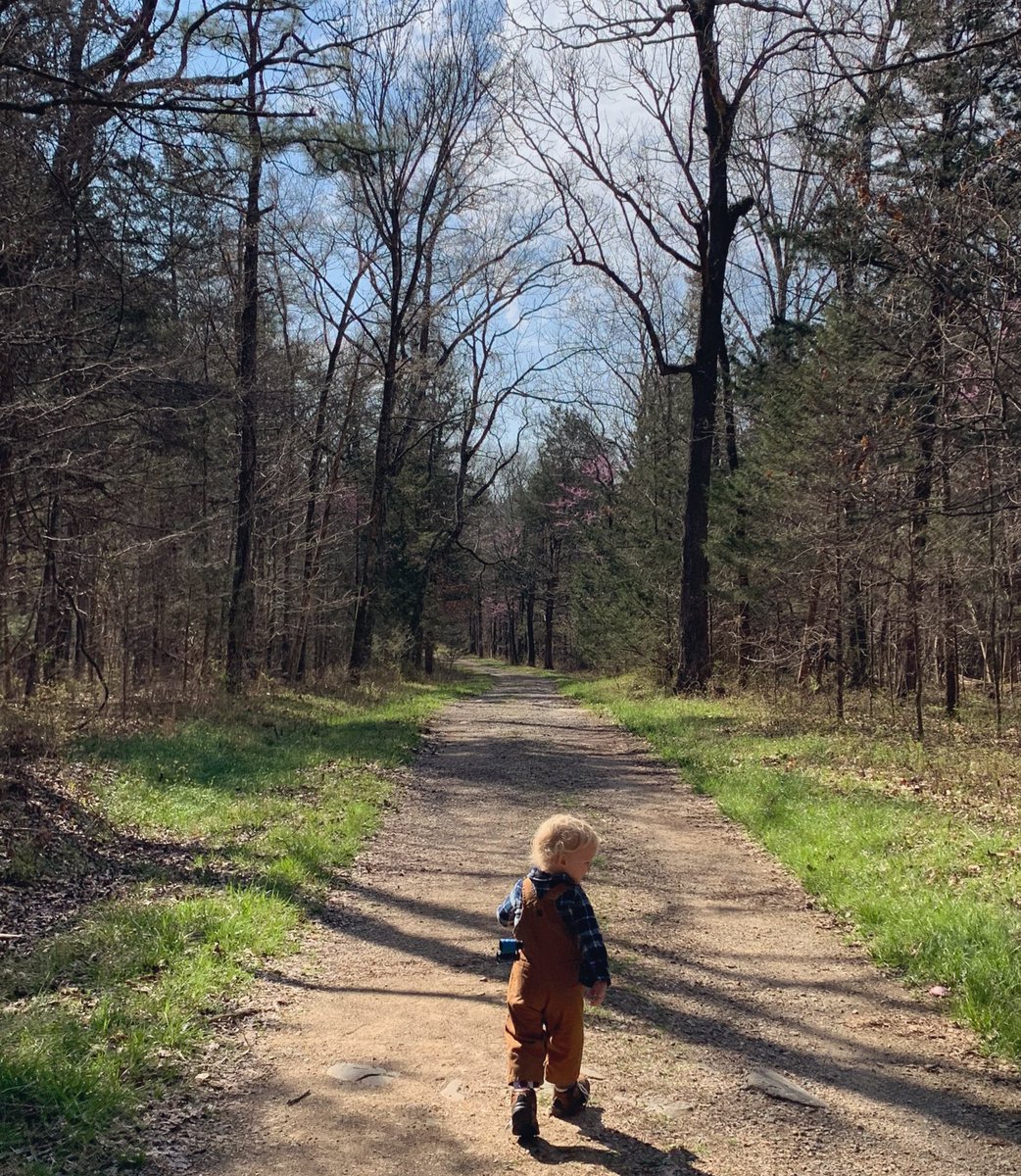 HarrisonGarlic1's tweet photo. Gm. It is good for us to be amongst the real. It reminds us who we are. 

Nature can remind us of our nature—something we often bury amongst the unreal. https://t.co/VnCysm2vOo