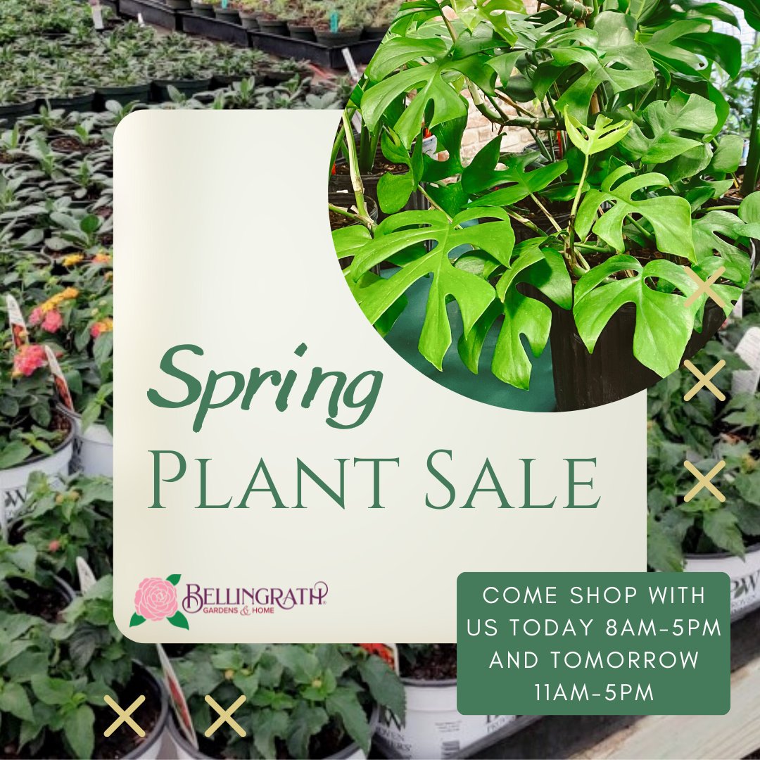 Come shop with us today! Our Spring Plant Sale is happening now! We'll be here from 8am-5pm today and 11am-5pm tomorrow - don't miss out! 🌱  #SpringPlantSale