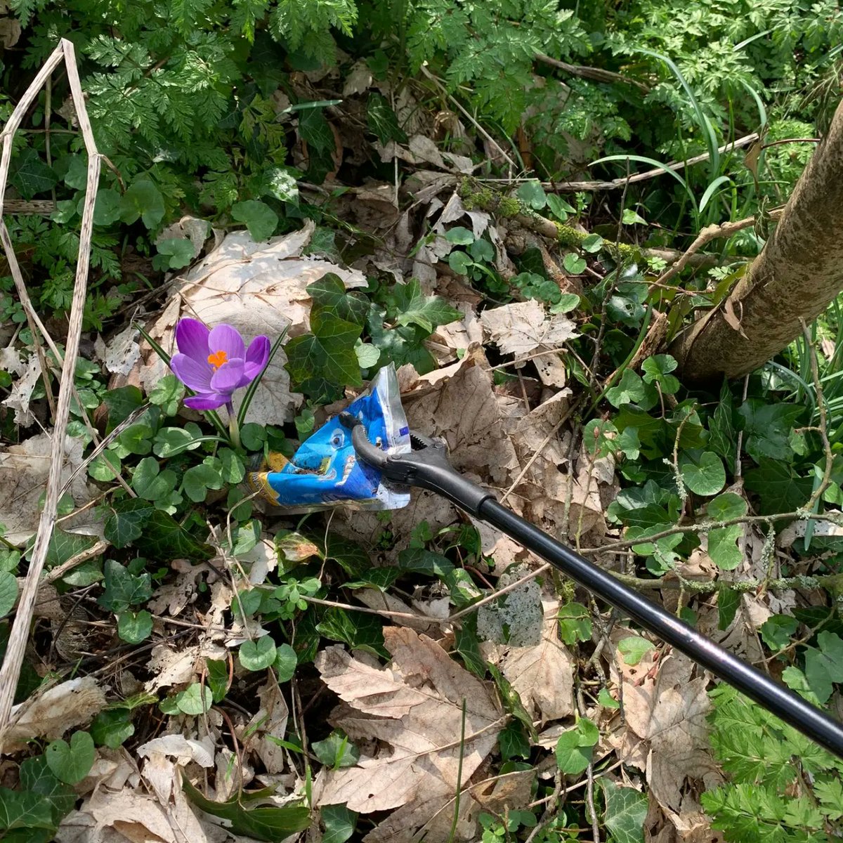 HEILOO2000's tweet image. 🗑️ 't Loo ligt er weer netjes bij! Geen straf met dit heerlijke voorjaarsweer! #landelijkeopruimdag #heiloo2000