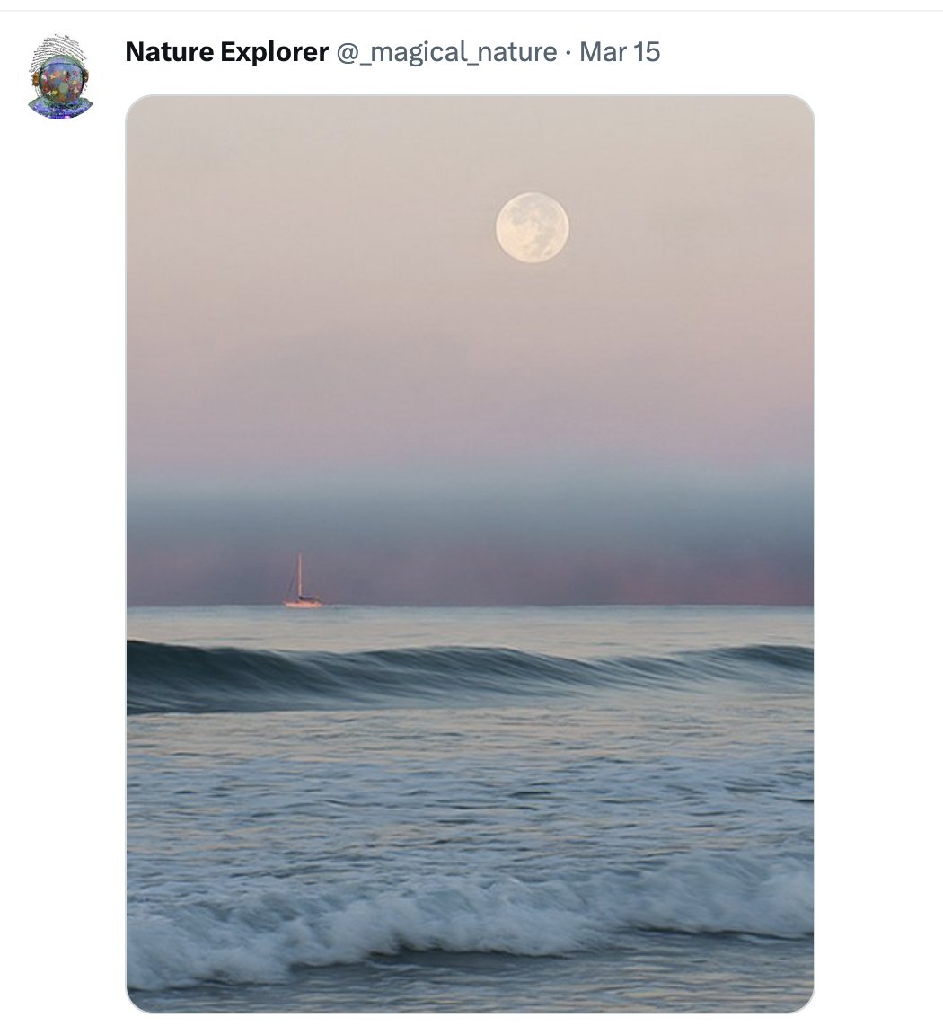 Weekend Cleanse: #peaceful
(<a href="/_magical_nature/">Nature Explorer</a>)