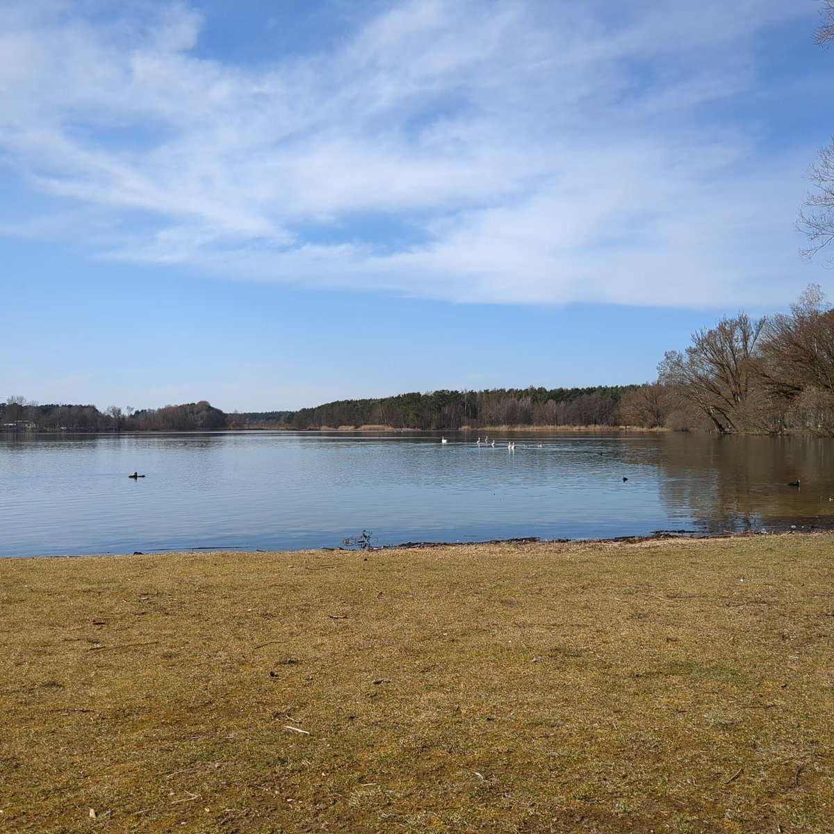 Heute am @DechsendorferWeiher bei <a href="/Erlangen/">Erlangen</a> ... #Wanderbuch <a href="/ROYHER/">Roy Her</a>