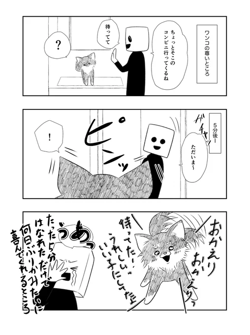 ワンコといると超楽しい#エッセイ漫画#チワワのいる暮らし 