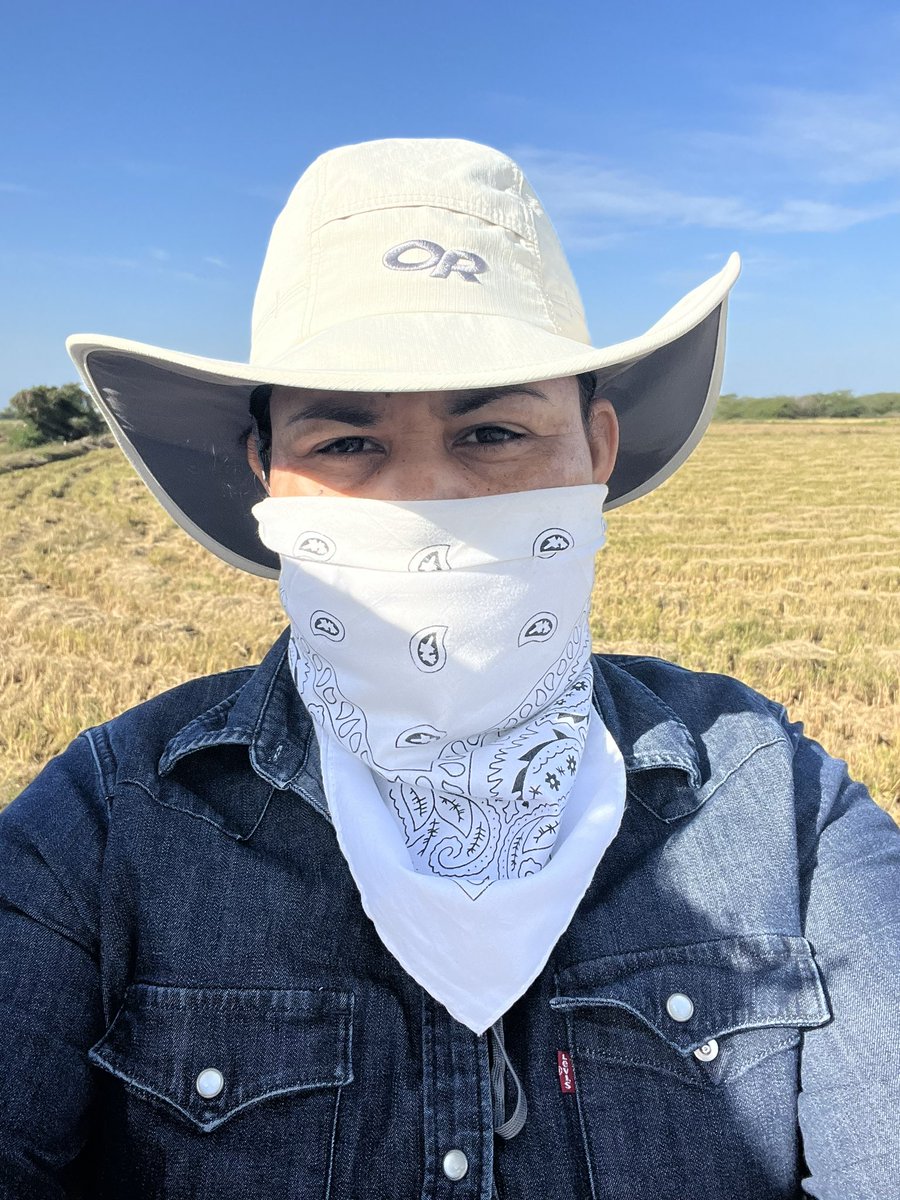 RodriguezElayne's tweet image. Zafra 1era 2023🌾🌾