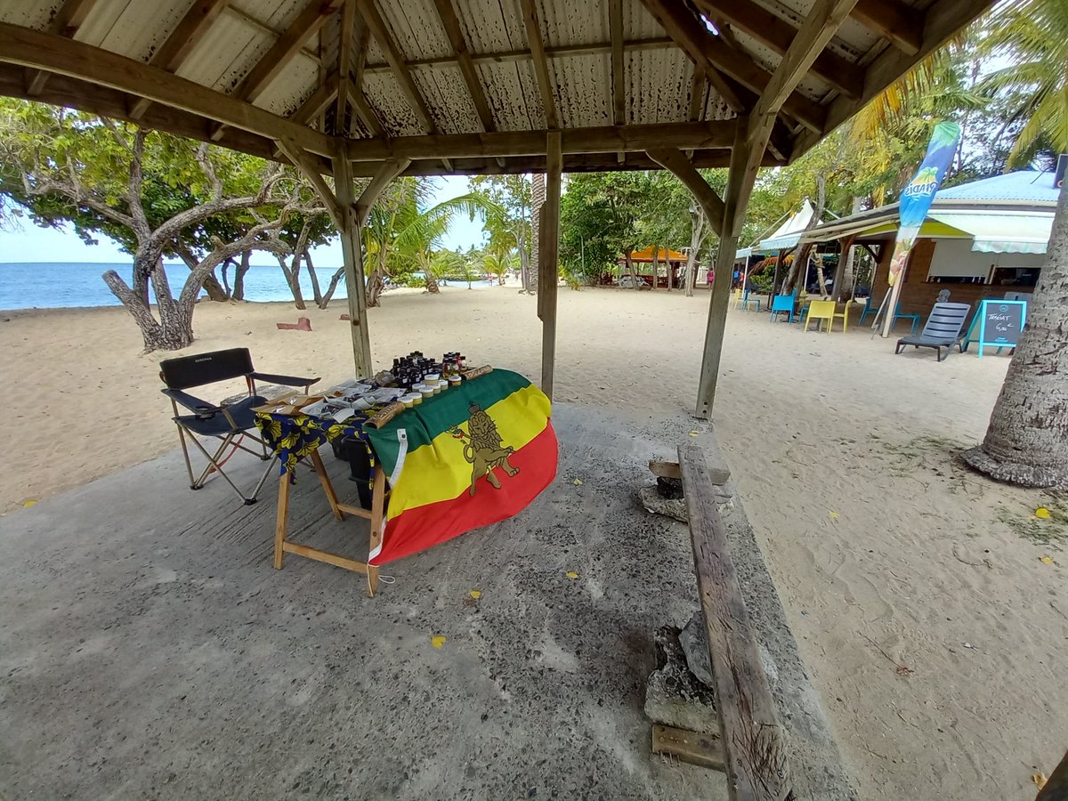 balarisenn's tweet photo. REVIVAL CE MATIN SUR LA PLAGE DE GROS RAISIN 
#REVIVAL #martinique #Afrique #chanvre #naturel https://t.co/TNe1C0T56J