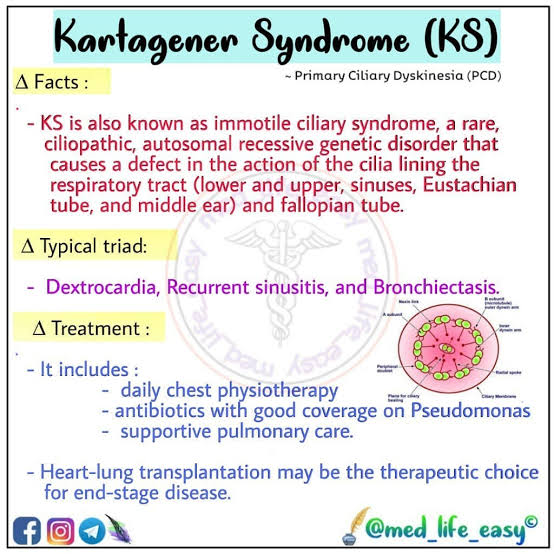 medicalinfo0 tweet picture