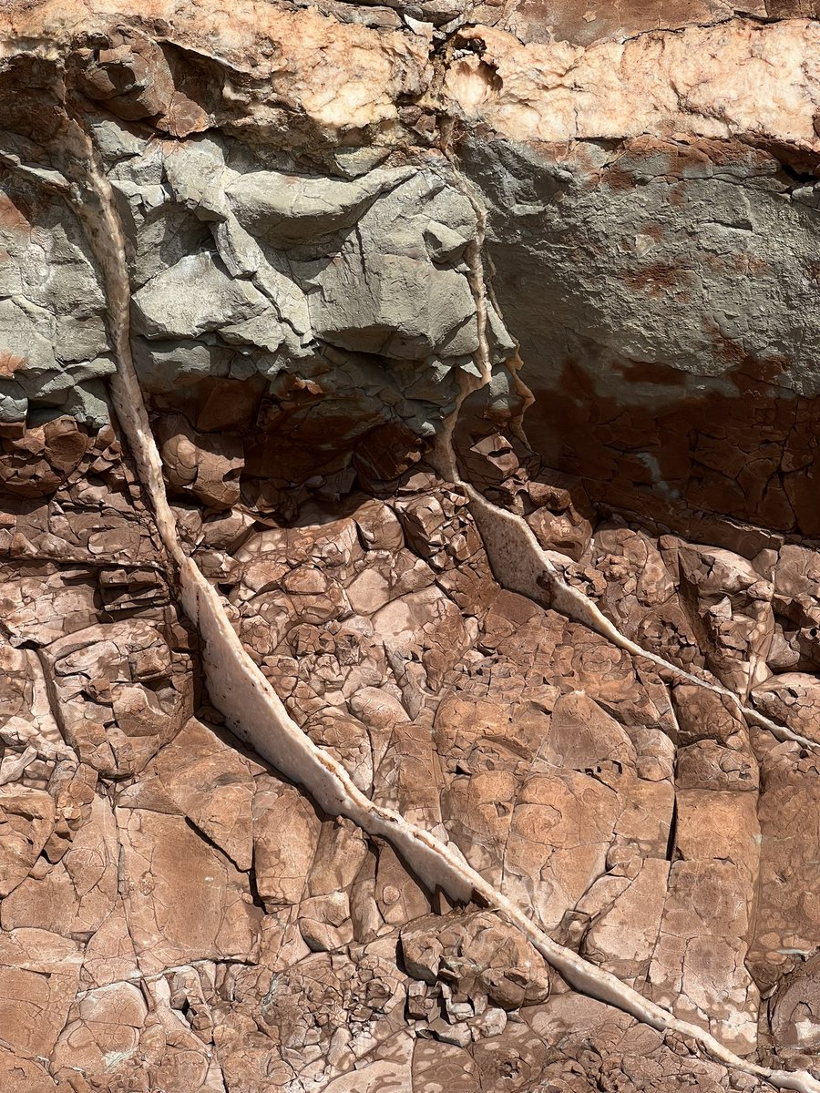 Sam Gregory tweet media