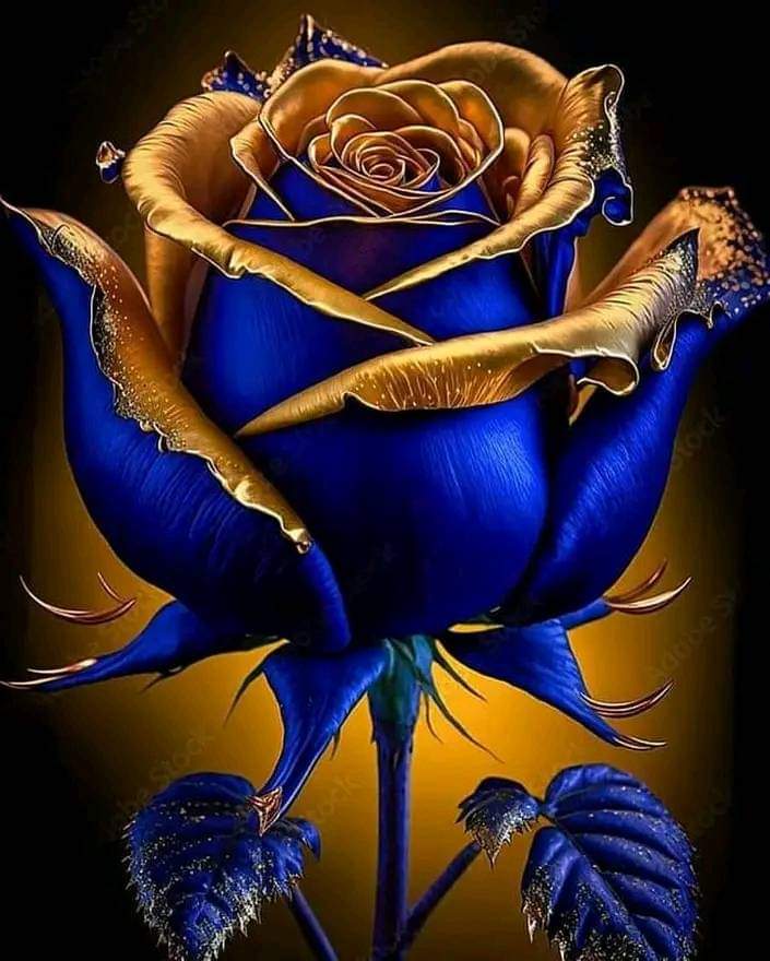 Dónde están los que saludan ???
Buenos días 😘
Que tengan un maravilloso sábado 💖