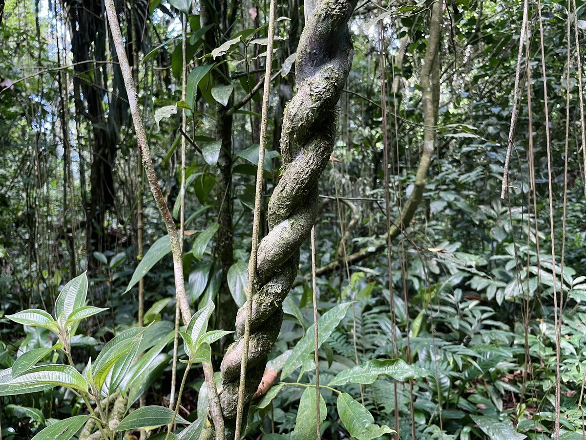 jessica snail tweet media