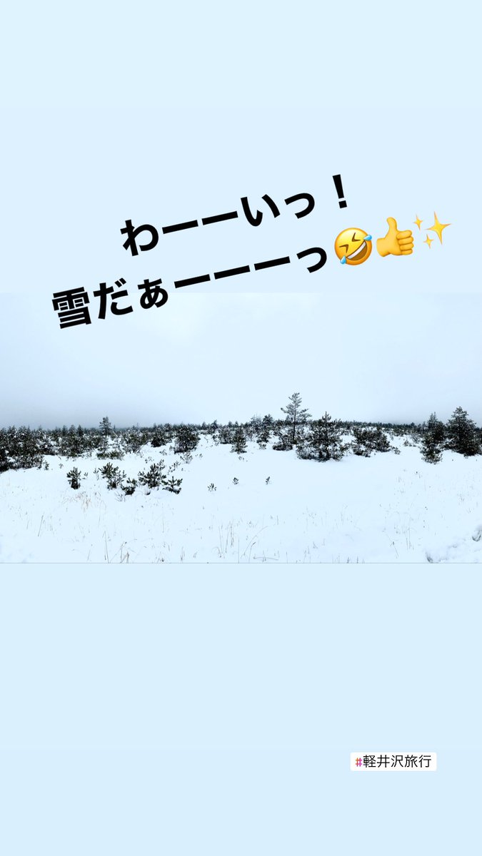 tsuboi_dai's tweet photo. 雪景色を見てる👀なごたん＆とっくん💕
めっちゃ可愛い🐩🐾
 #軽井沢  #雪景色  #トイプードルのいる暮らし  #なごたん  #love  #とっくん  #イケメン  #happy  #ペット可HOTEL  #Twitterはじめました https://t.co/oWVficuTrK