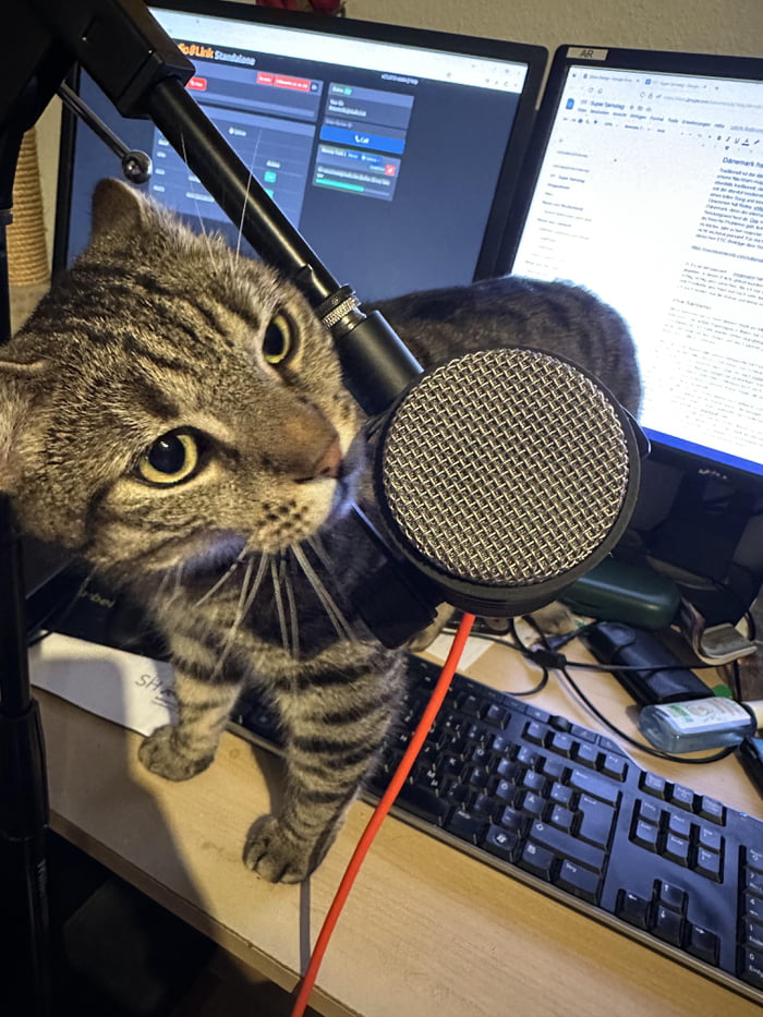 DontShowYourCat's tweet photo. here comes the freestyle https://t.co/hdqBmsyXXC