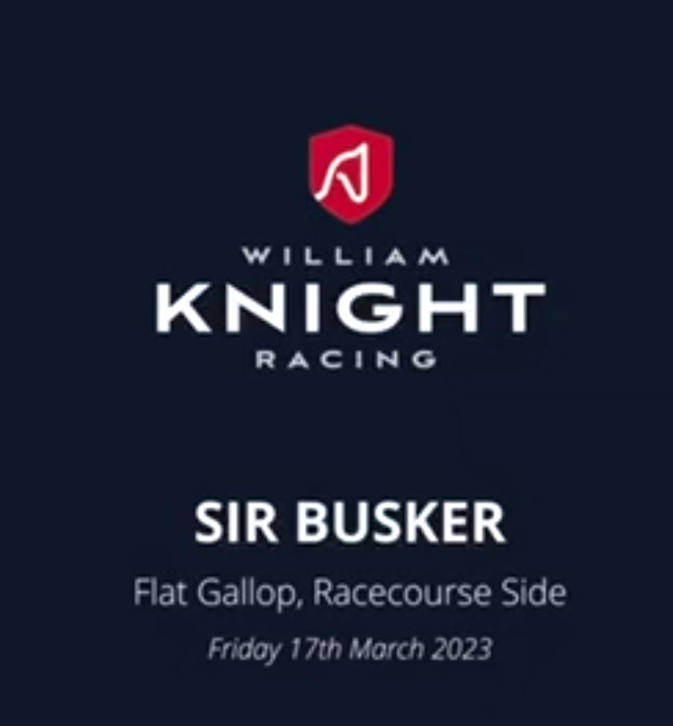 bonaireblue's tweet photo. Optimistic update on #SirBusker from @KVTRacing @WKnightRacing with Jitka riding him out before he flies 🇬🇧✈️🇦🇪 to #DWC23 🤞 @RacingDubai https://t.co/7ObNmohg1D
