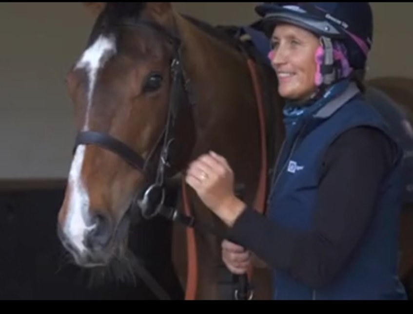 bonaireblue's tweet photo. Optimistic update on #SirBusker from @KVTRacing @WKnightRacing with Jitka riding him out before he flies 🇬🇧✈️🇦🇪 to #DWC23 🤞 @RacingDubai https://t.co/7ObNmohg1D