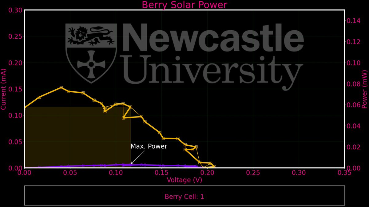 Berry Solar Cells for Berry Future tweet media