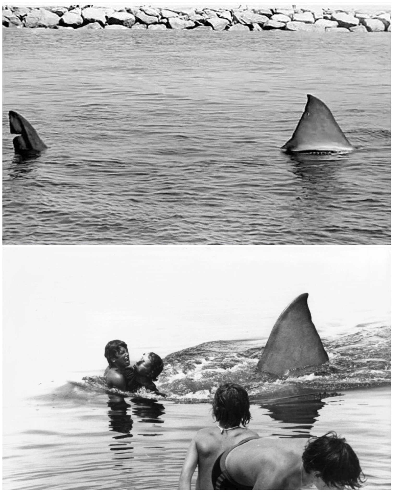 The Daily Jaws on Twitter: "Behind the scenes and alternate version of