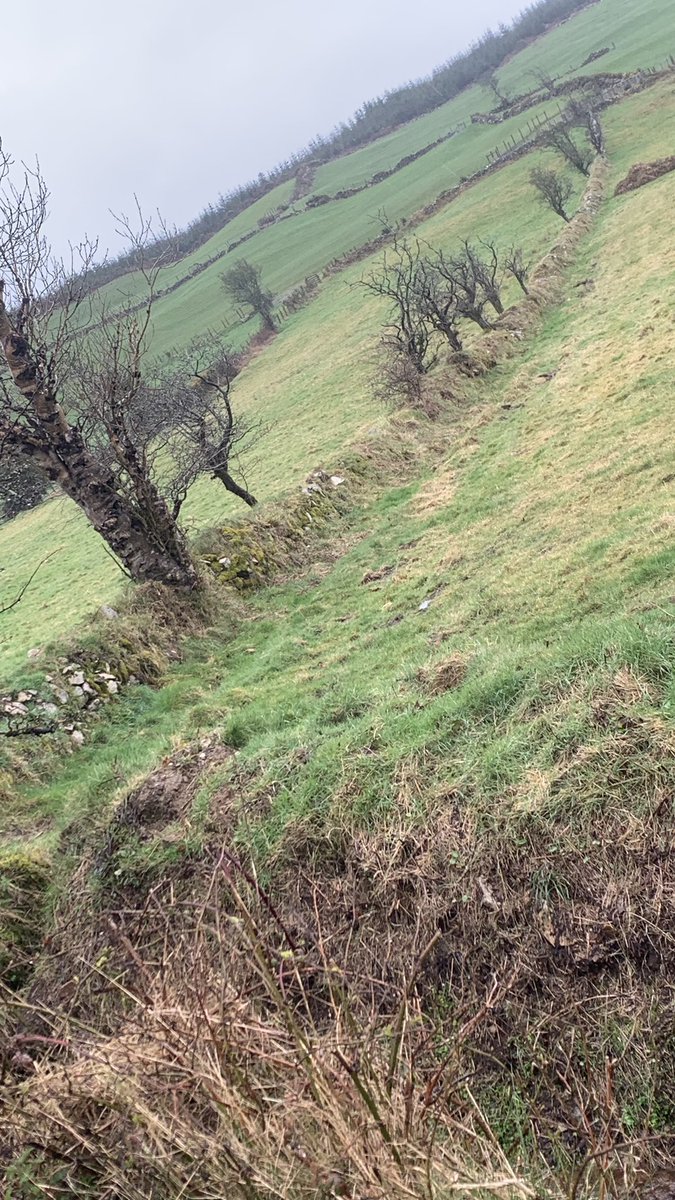 A very damp morning dander #RingofGullion