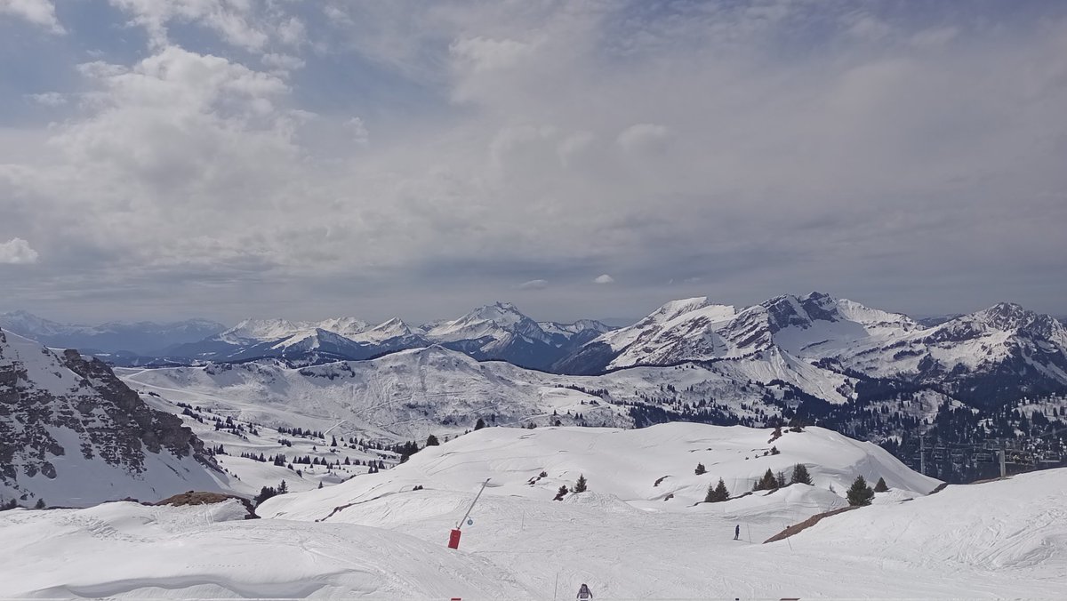 Gron Edwards tweet media