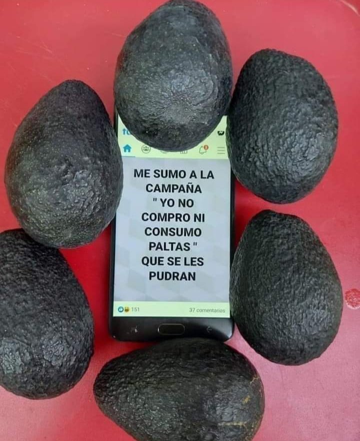 Chileokulto's tweet photo. Juntos podemos frenar este abuso empresarial.
#NoCompresPalta hasta que bajen sus precios abusivos!! https://t.co/xwknLqdUoa